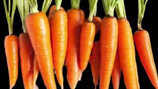 Vegetables CVI Video (from Keynote)