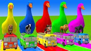 5 Giant Duck Cartoon,Cow,Mammoth,Tiger,Lion,Dinosaur, Paint Wild Animals Crossing Fountain Animation