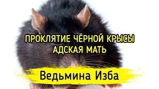 ПРОКЛЯТИЕ ЧЁРНОЙ КРЫСЫ. АДСКАЯ МАТЬ. ВЕДЬМИНА ИЗБА ▶️ МАГИЯ