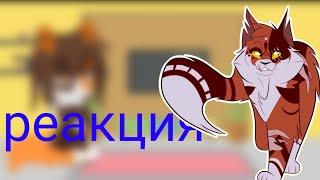 реакция кКленовницы из прошлого на своё будущее(коты воители)