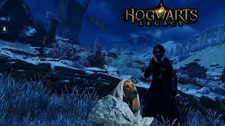 The Collectibles Are Making Me Go Insane (Hogwart's Legacy)