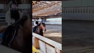 Menin La Afrol mentiin maastossa nii ei oo vid #viralvideo #horse #foryou #shorts #heponiitty #fry