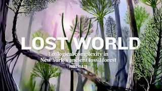 World's Oldest Fossilized Forest Unearthed in NY