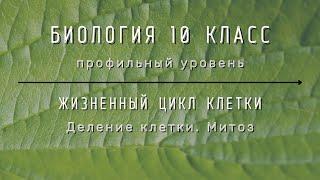 Биология 10 кл Проф уровень $28 Деление клетки. Митоз