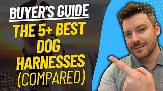 TOP 5 BEST DOG HARNESSES - Best Dog Harness Review (2023)