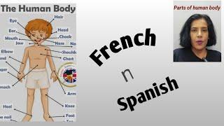 Parts of human body in French and Spanish language