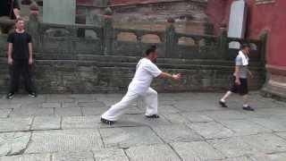 Wudang Tai Chi. Zhang Jiali with Vladimir Kotlyar