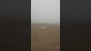Moon rare