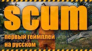 SCUM - первый геймплей на русском - скам gameplay