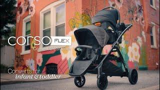 Corso Flex Convertible Stroller -  Double