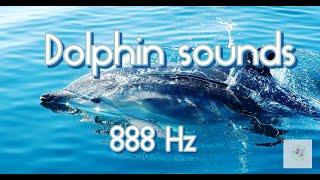 #relaxing #dolphinsounds /Dolphin therapy 888 Hz /дельфинотерапия /звуки дельфинов/целительное видео