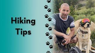 Do you hike with your dog? #short #dog
