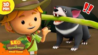 STRONGEST BITE EVER!  | Scary Mammals | Leo the Wildlife Ranger | Kids Cartoons