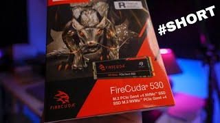 Fast BUT... Caching Issues? Firecuda 530????