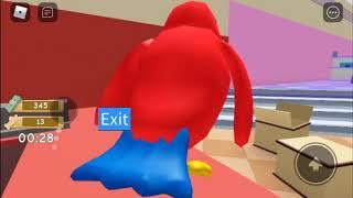 Playing pet escape 2 in roblox