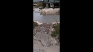 Flooding on Dauphin Island Alabama