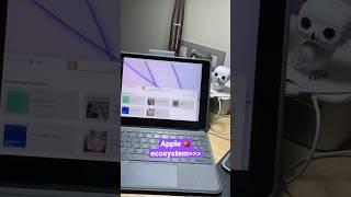 Apple’s Best Feature 