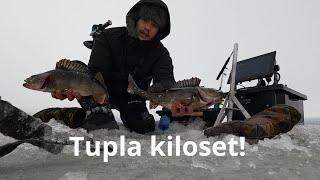 UUSILLA KULMILLA SAIMAALLA - TUPLA KILOSET