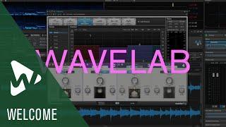 25 Interesting Facts About WaveLab | Celebrating 25 Years of WaveLab