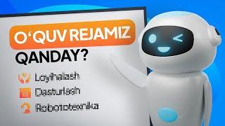 Robbit o'quv dasturi qanday tuzilgan?