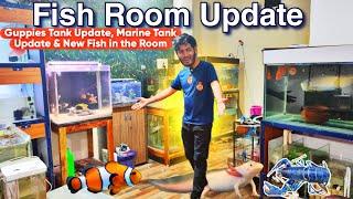 Fish Room Update , Guppies Tank Update, Marine Tank Update, New more Fish in Room? Fish Room Vlog