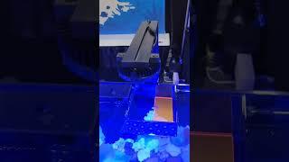 Start growing corals from $99 with the new illumagic pixel led