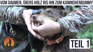 Grundaufbau im jagdlichen Apportieren Teil 1 | Hundeschule U.B.