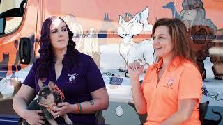 Vanity Fur on Destination LA 2023