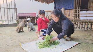 Can a Single Mom with 3 Kids Really Build a New Life in Just 100 Days