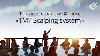 Торговая стратегия Форекс «TMT Scalping system»