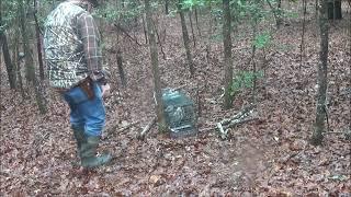 Live Trapping on my property.  No harm done to Animals