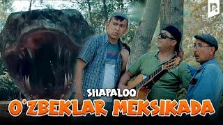 Shapaloq - O'zbeklar Meksikada