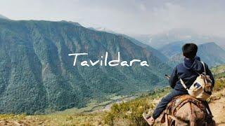 Tavildara 