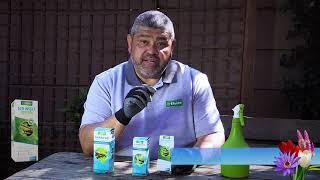Let's Talk Gardening with Efekto EP 5 Veg Garden Maintenance