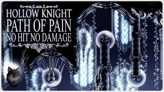 Hollow Knight Path of Pain No Hit - No Damage