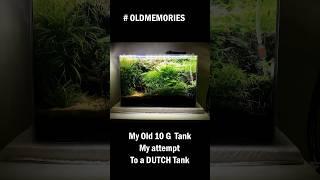 #aquariumaquascape #fish #dutchstyle #aquascape #plantedtank #aquariumaquascape #aquahobby #plants