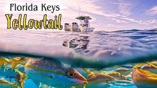 Yellowtail Fishing Florida Keys | This RIG Caught ALL!