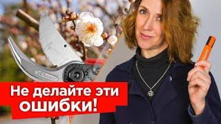 3 ГЛАВНЫХ ПРАВИЛА ОБРЕЗКИ ПЛОДОВЫХ! Следуйте им и всегда будете с урожаем