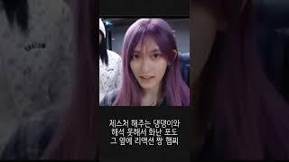 커엽... #아이브