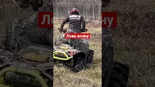 #atv #квадроцикл #offroad #болото