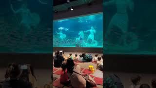 세종시달빛김서진_신세계백화점 아트앤사이언스22.05.27