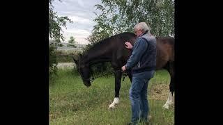 Чем занимается в свободные минуты владелец самого большого кизилового сада в Европе.