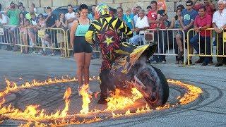 Paulo Martinho | Moto Freestyle | 2014 | BOTICAS