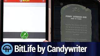 BitLife Life Simulator Review