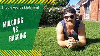 MULCHING vs CATCHING - The intricacies of mowing