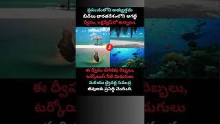 World’s Best Beaches?  Agatti Island in Lakshadweep Stuns the World!  @JayasheelTv