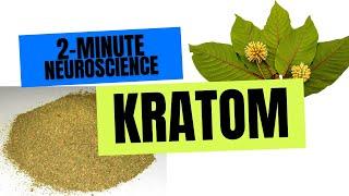 2-Minute Neuroscience: Kratom
