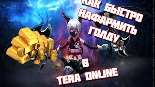 Гайд!Как можно быстро наформить голду в Tera Online!