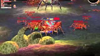 Metin2 Ro Pheonix-La regine in SD3