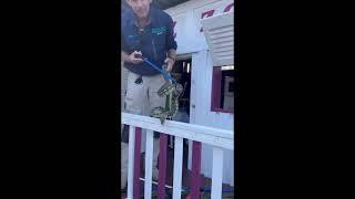 Snake Catcher Removes Python from Kids Playhouse